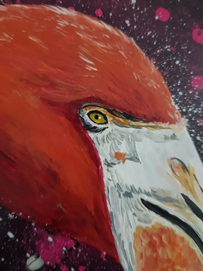 Schallplatte Flamingo – Petra Kroll