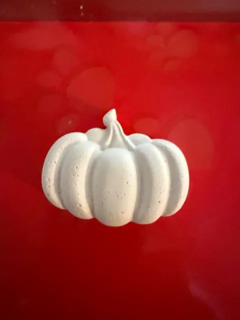 Kürbis