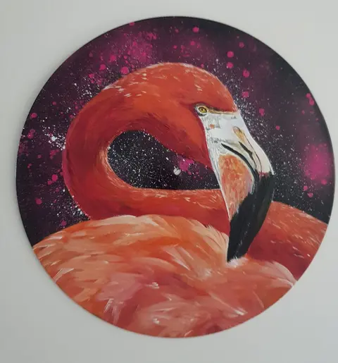 Schallplatte Flamingo